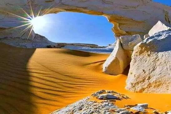 Oasis Safari de Siwa